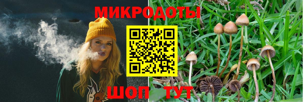 Удомля  Галлюциногенные грибы MAGIC MUSHROOMS  цены наркотик  Вход с VPN 